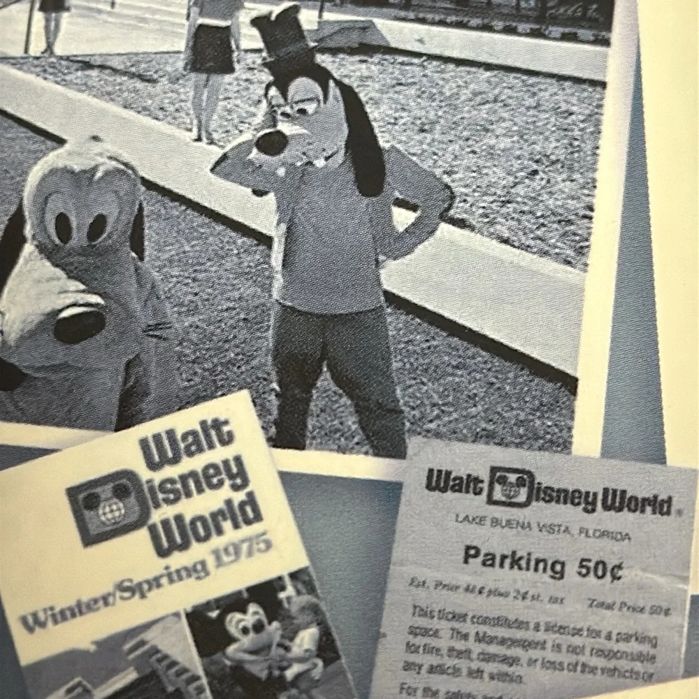 Walt Disney World 35th Anniversary 4x6 Frame